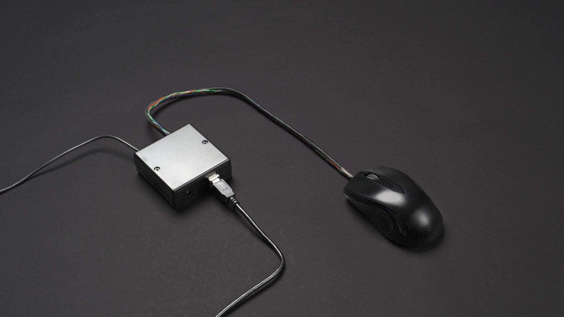 Mouse front view